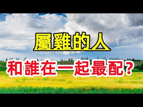 雞跟猴合嗎|【雞和猴合嗎】雞和猴合嗎？生肖配對大解答：雞猴配的秘密